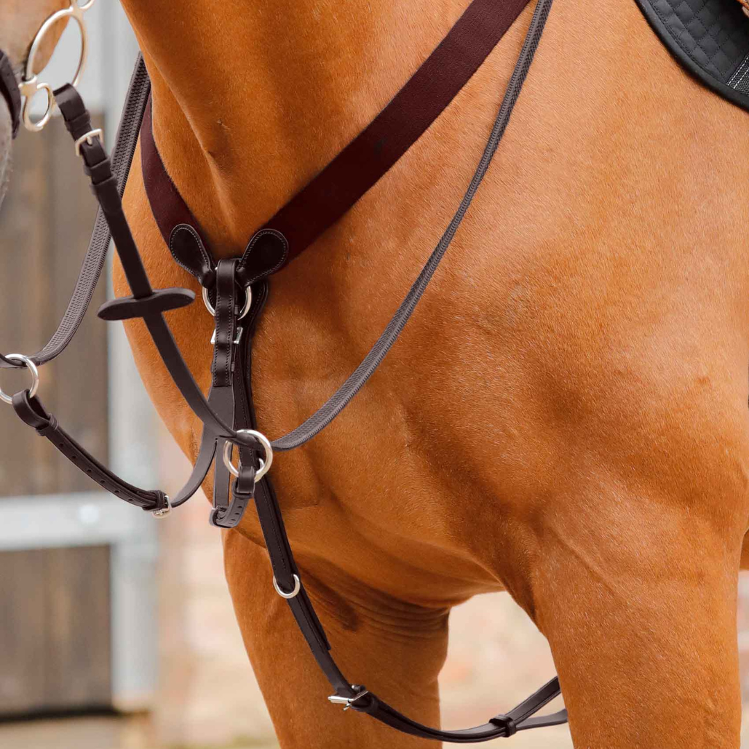 Collier de chasse élastique Baressa Premier Equine