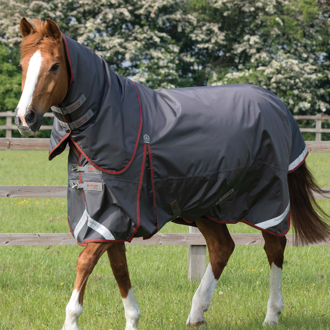 Couverture et couvre-cou classique Buster Premier Equine