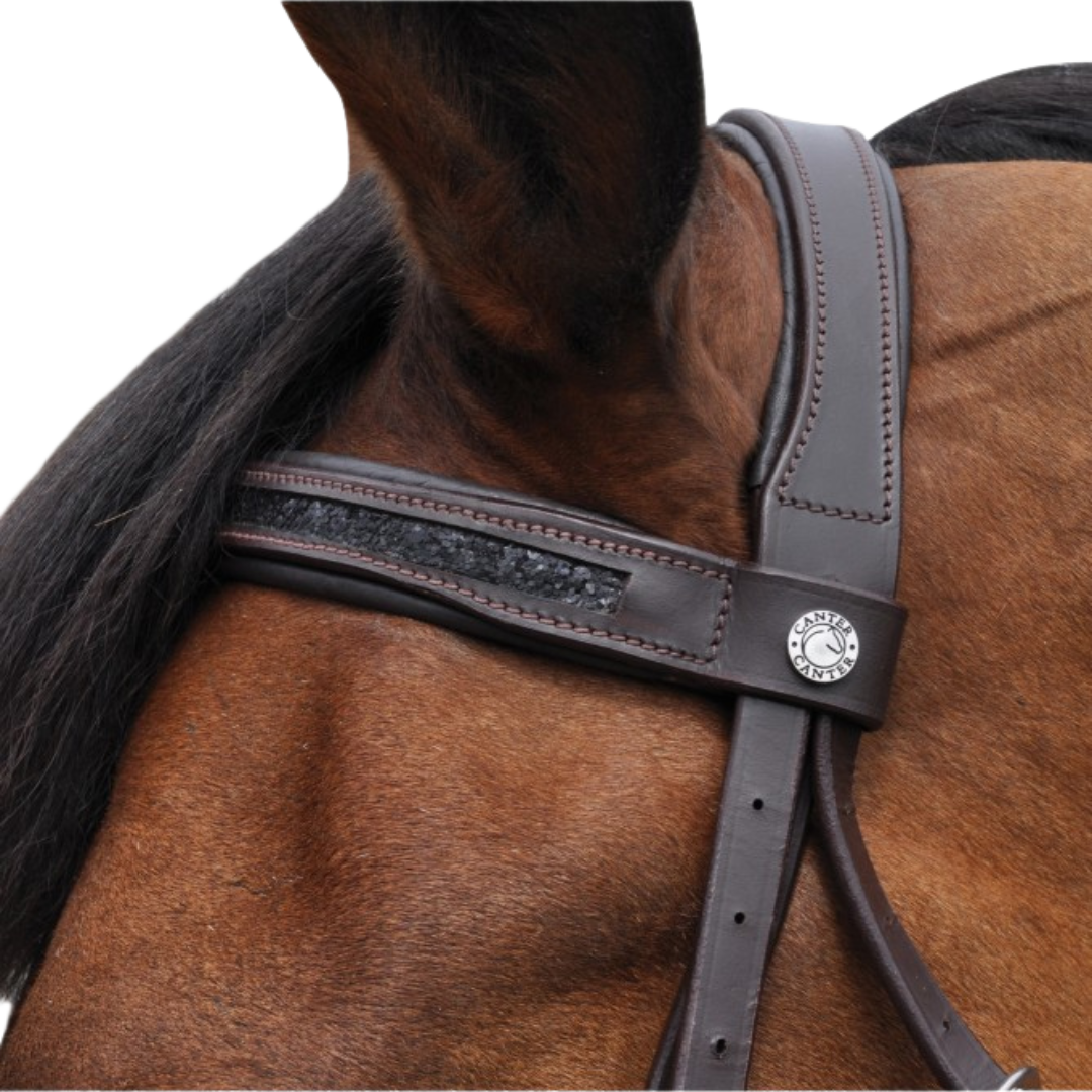 Bridon + rênes Strass Canter