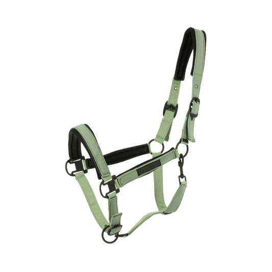 Licol Pearl Equithème