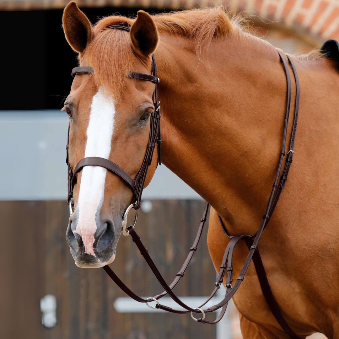 Martingale Santadi Premier Equine