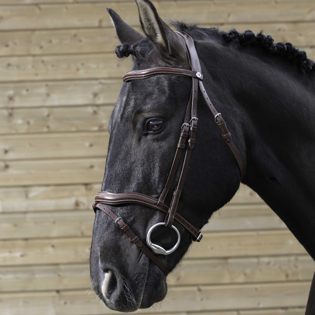 Bridon découpé Norton Pro