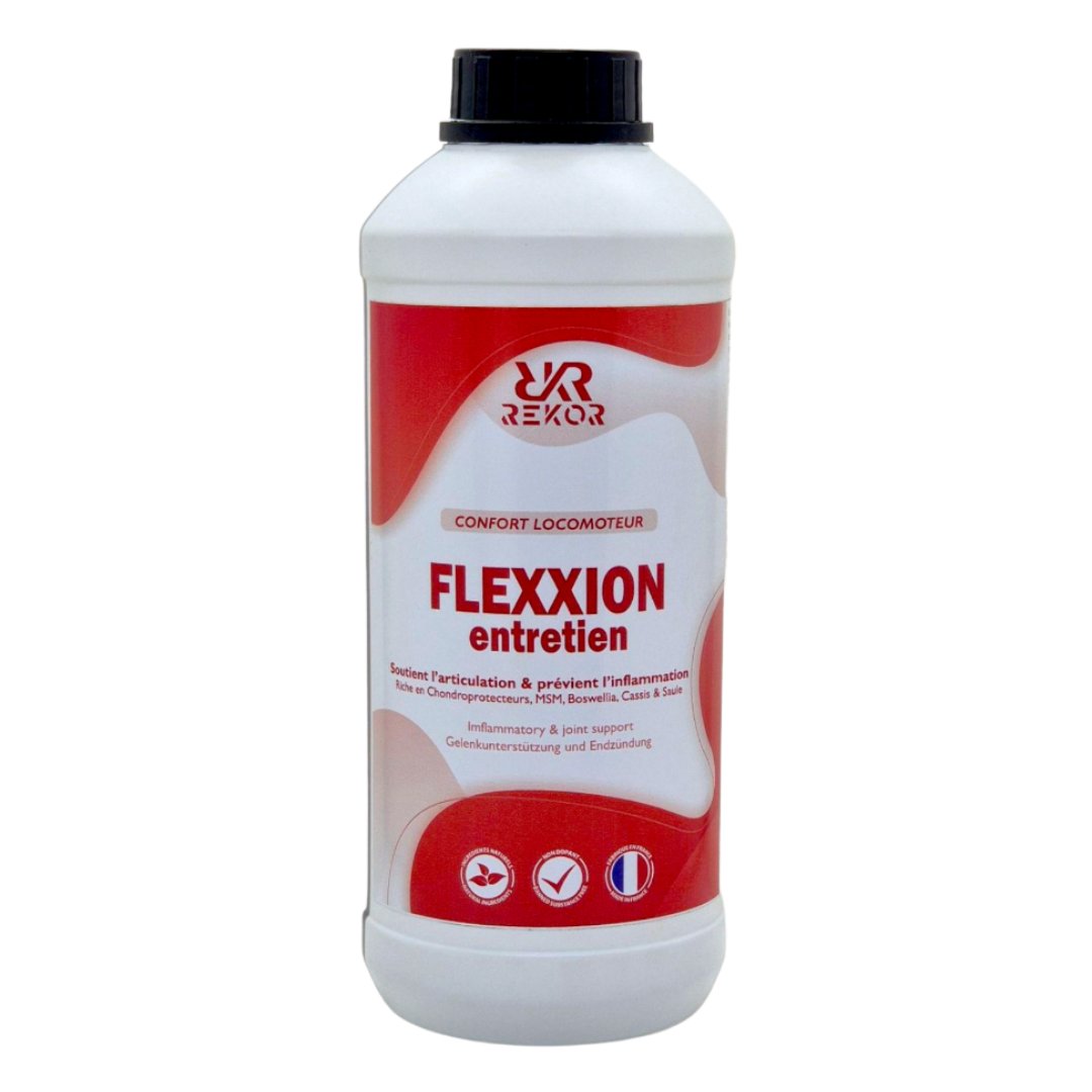 Flexxion Entretien Rekor