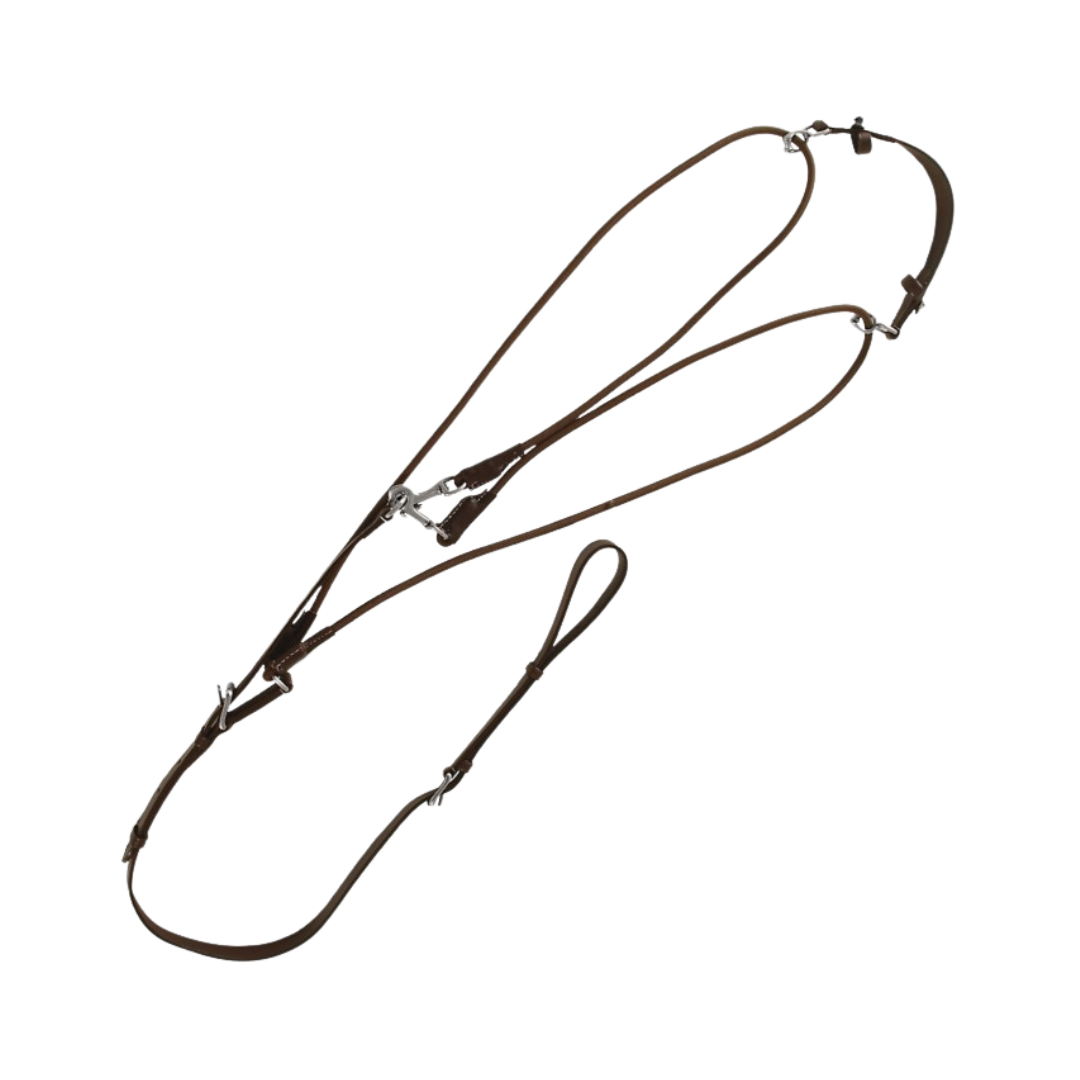 Gogue élastique Canter