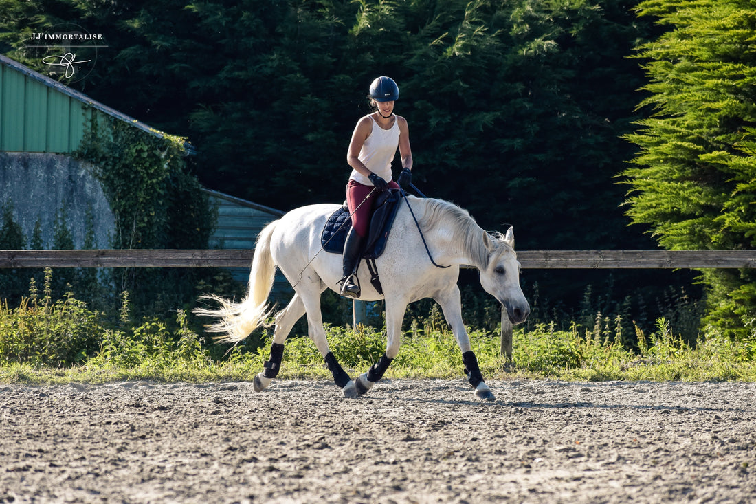 Arthrose chez le cheval - Opale
