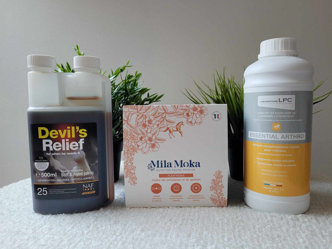 Soulager l'arthrose du cheval
