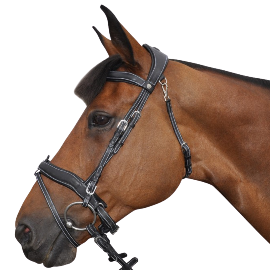 Bridon + rênes Comfort Flags & Cup