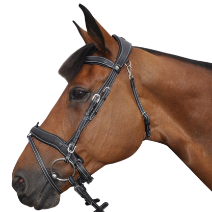 Bridon + rênes Comfort Flags & Cup