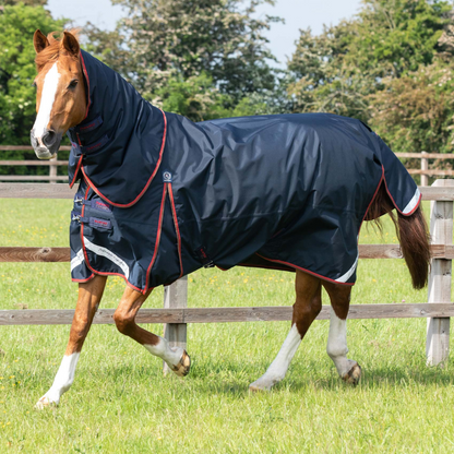 Couverture et couvre-cou classique Buster Premier Equine