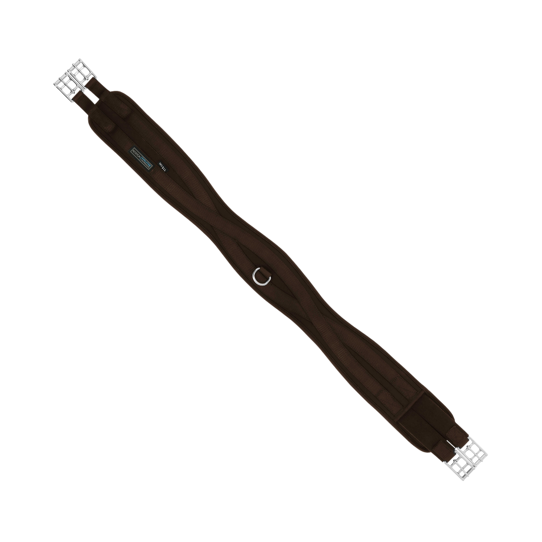 Sangle EK-Evolution Norton