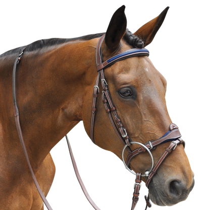 Bridon + rênes Paris Flags & Cup