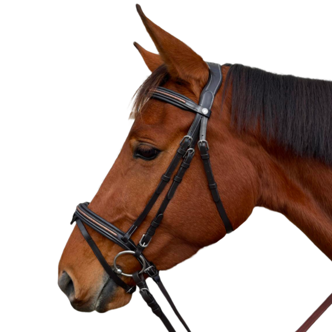 Bridon + rênes Mylord Canter