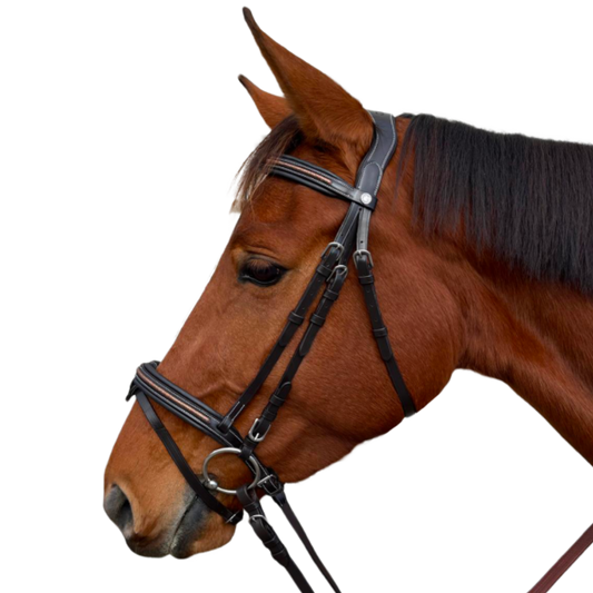 Bridon + rênes Mylord Canter