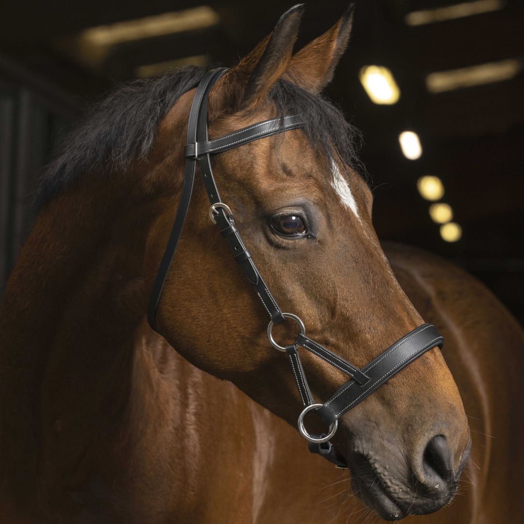 Side Pull Norton Pro