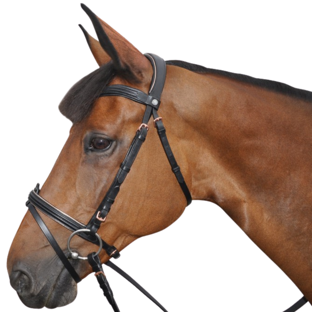 Bridon + rênes Rose gold Canter