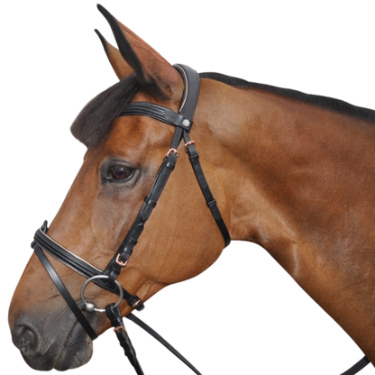 Bridon + rênes Rose gold Canter