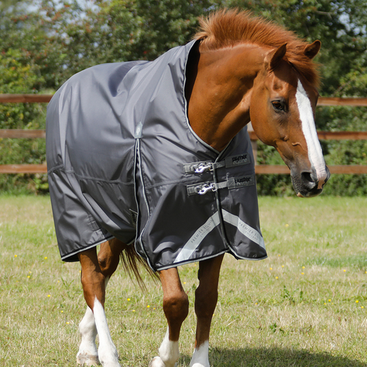 Couverture high neck Buster Hardy Premier Equine