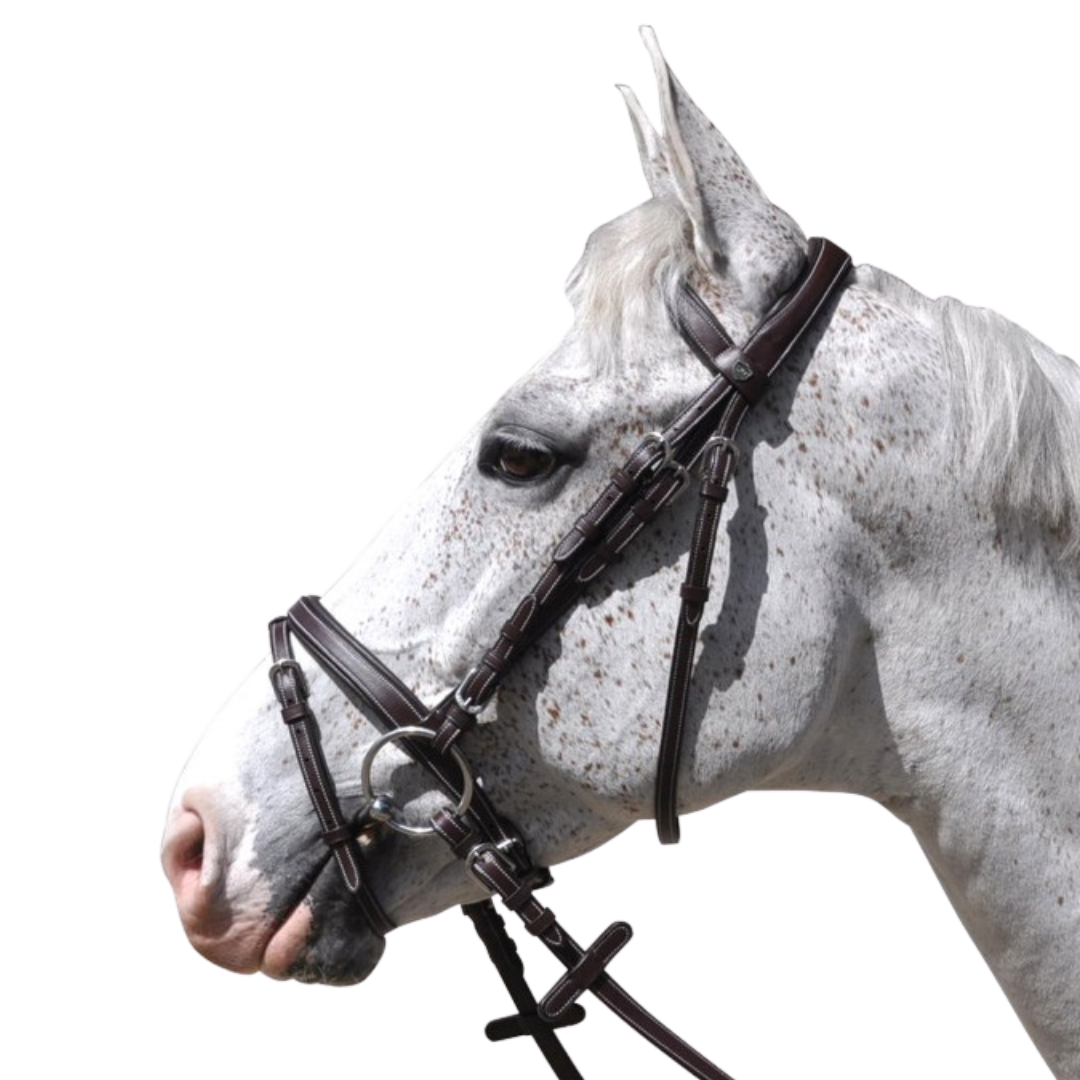 Bridon + rênes Goteborg Flags & Cup