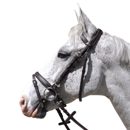 Bridon + rênes Goteborg Flags & Cup