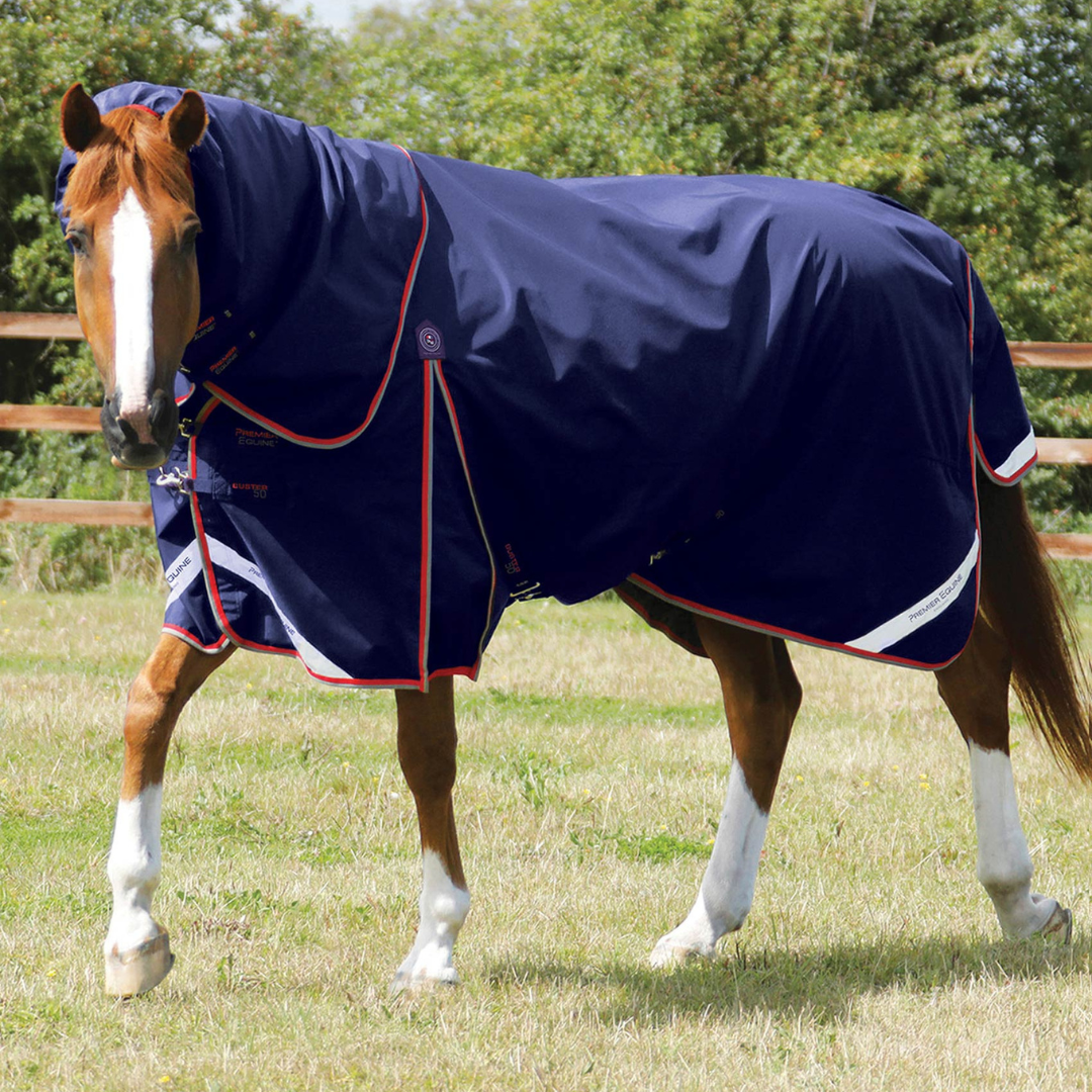 Couverture et couvre-cou élastique Buster Premier Equine