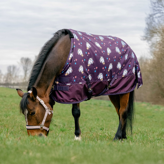 Couverture shetland Tyrex 600D Equithème