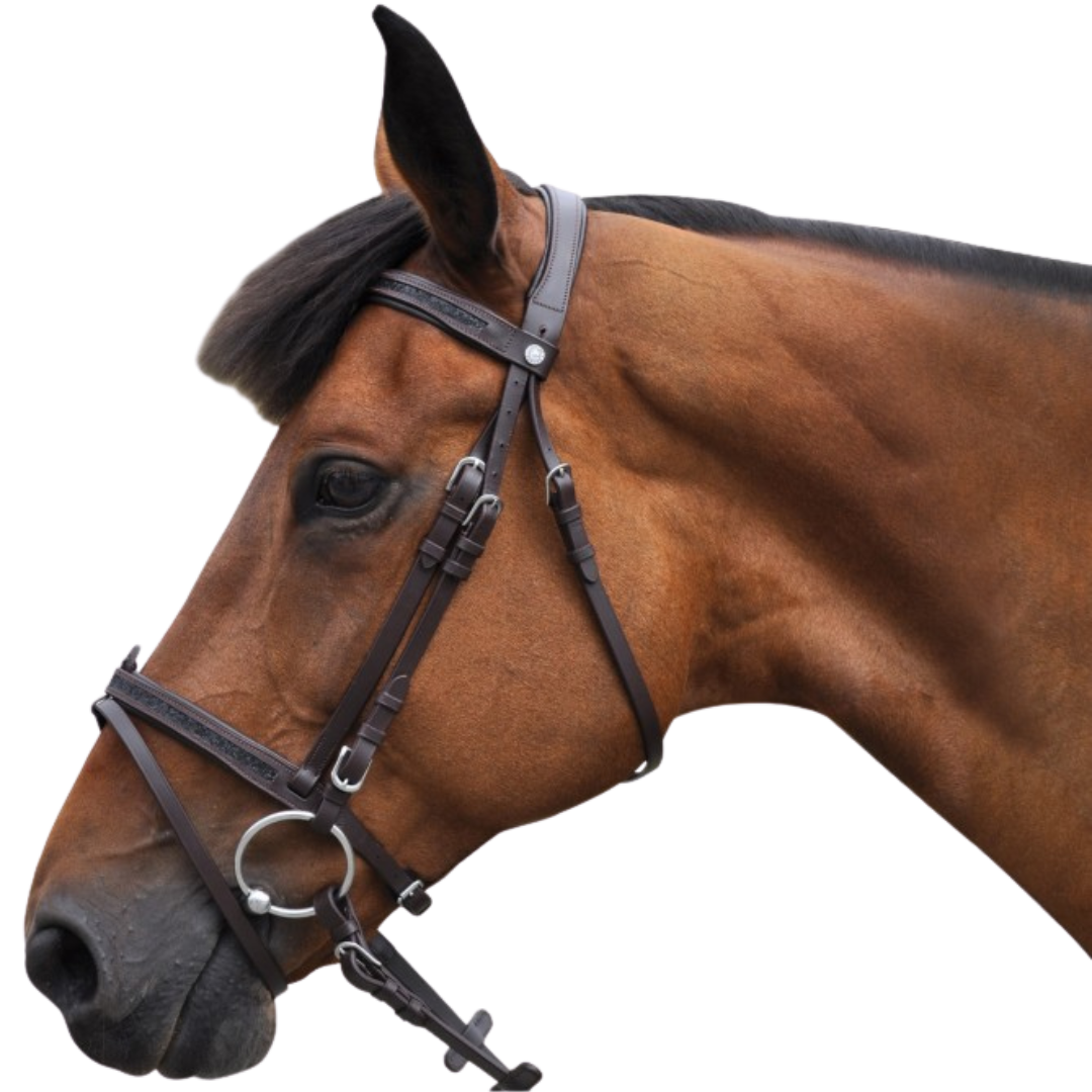 Bridon + rênes Strass Canter