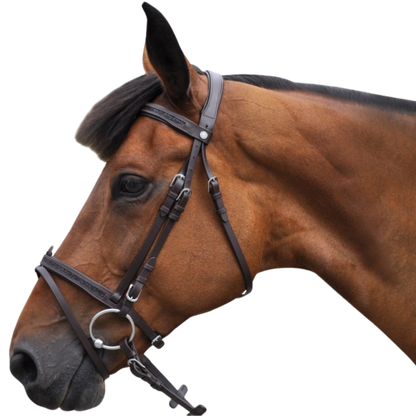 Bridon + rênes Strass Canter