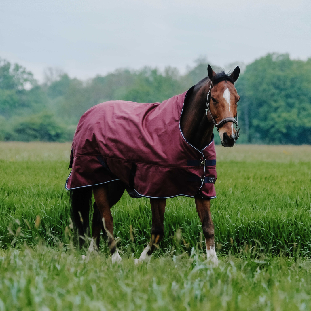 Couverture High Neck Equithème