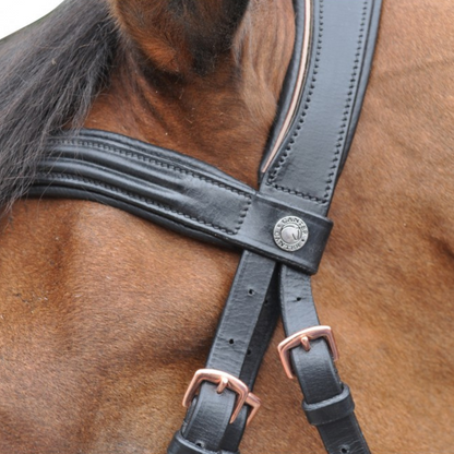 Bridon + rênes Rose gold Canter