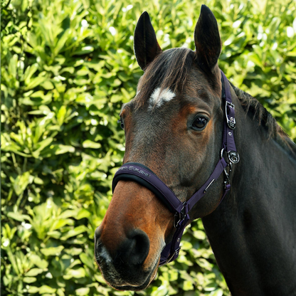 Licol + longe Duco Premier Equine