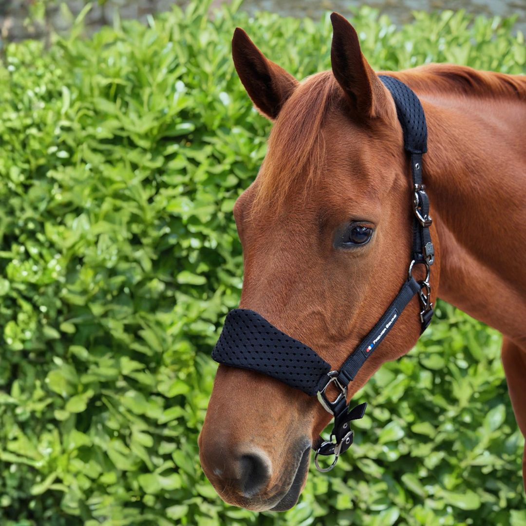 Licol + longe Necto mesh 3D Premier Equine