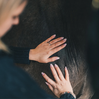 Huile confort musculaire Cura Naturale