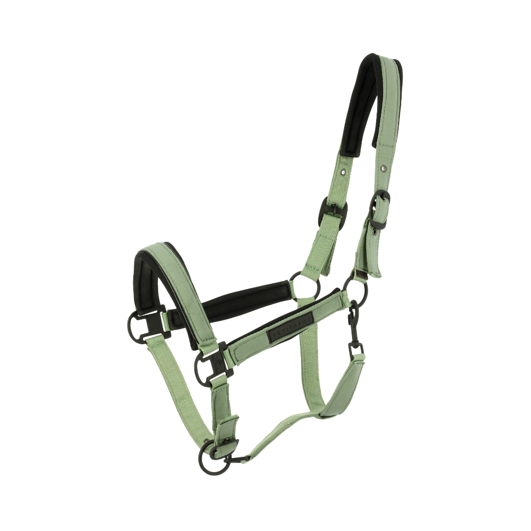 Licol Pearl Equithème