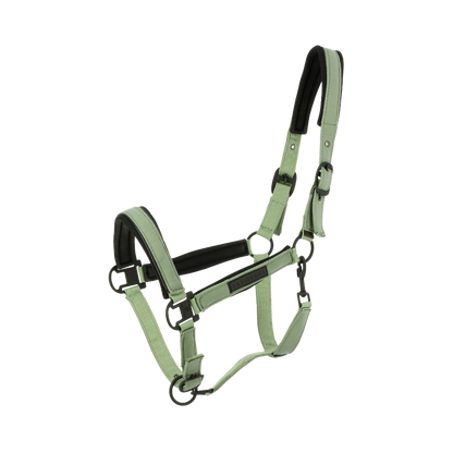 Licol Pearl Equithème