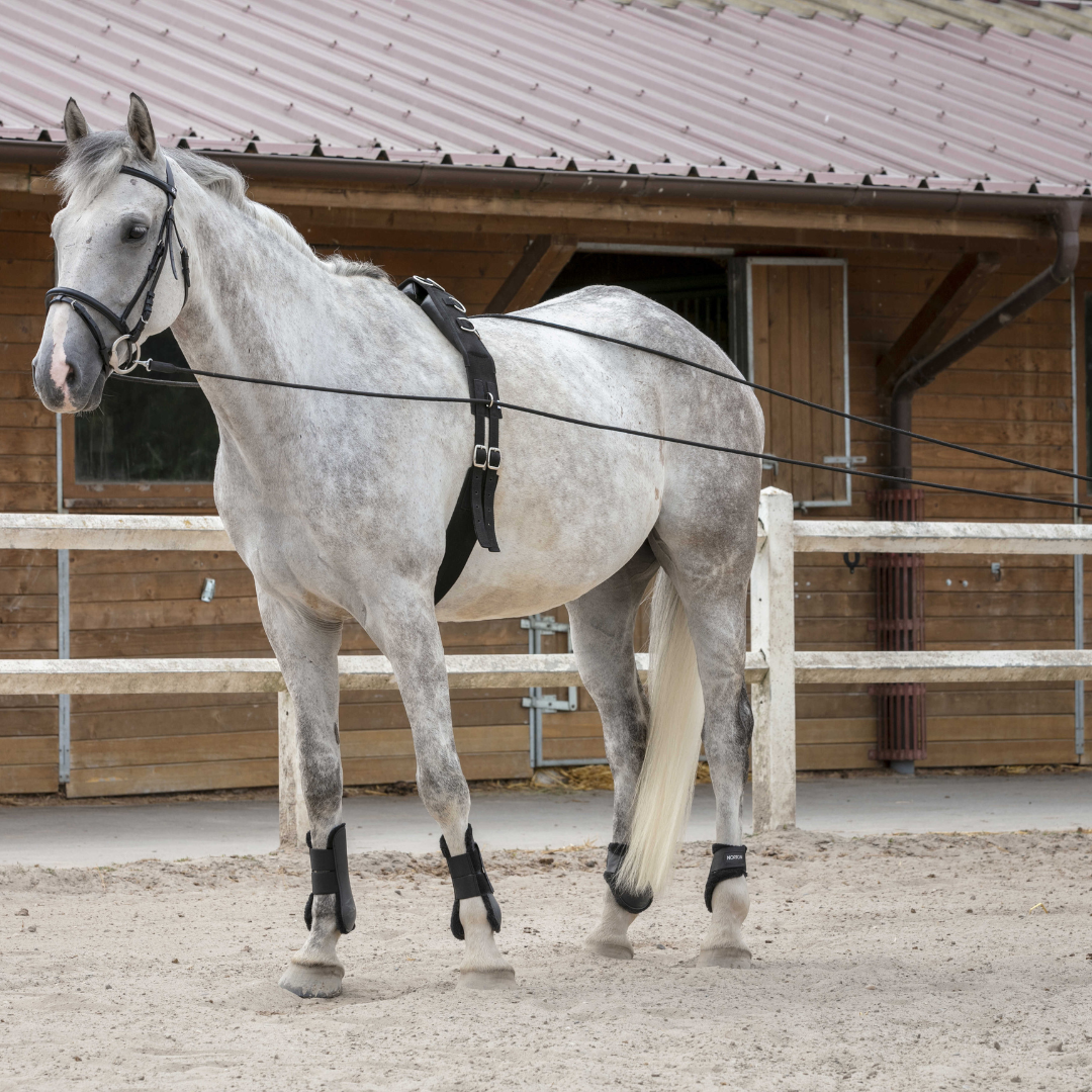 Longues rênes 10m cuir/corde Riding World