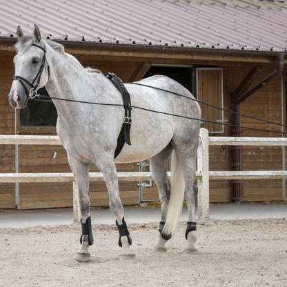 Longues rênes 10m cuir/corde Riding World