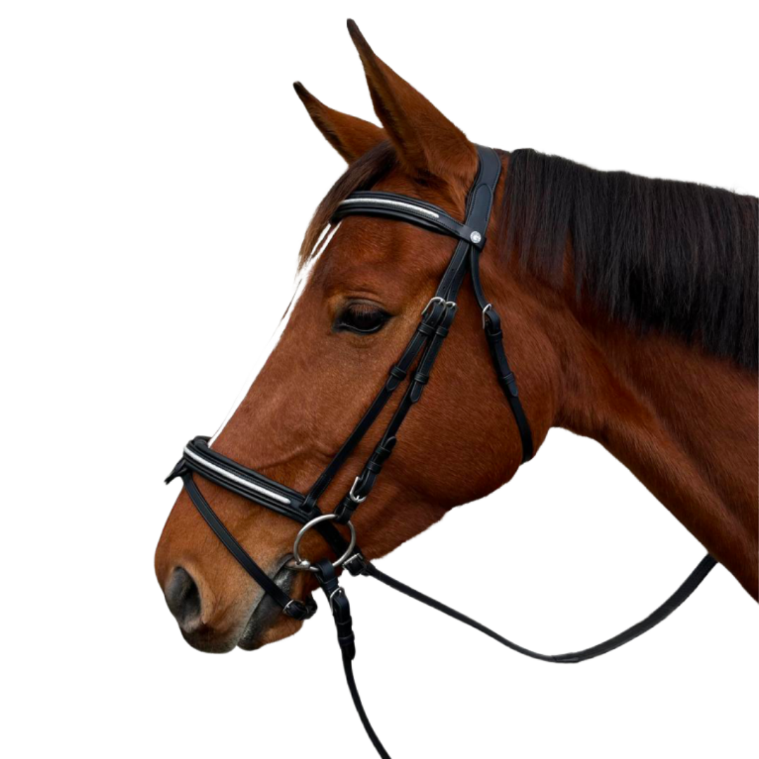 Bridon + rênes Mylord Canter