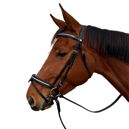 Bridon + rênes Mylord Canter