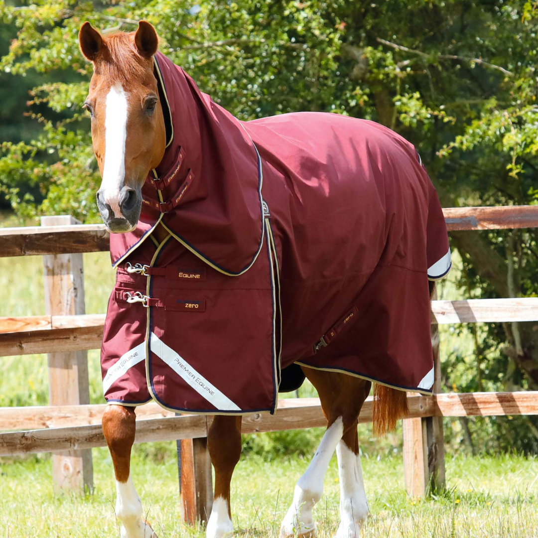 Couverture et couvre-cou classique Buster Premier Equine
