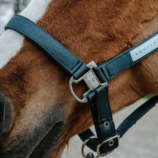 Licol Opal Equithème