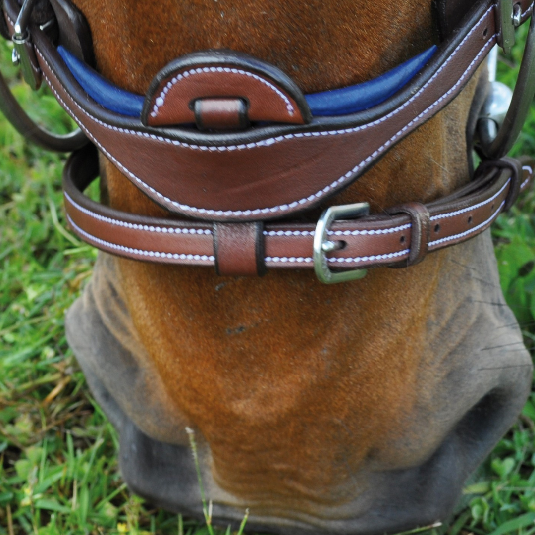 Bridon + rênes Paris Flags & Cup