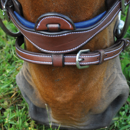 Bridon + rênes Paris Flags & Cup