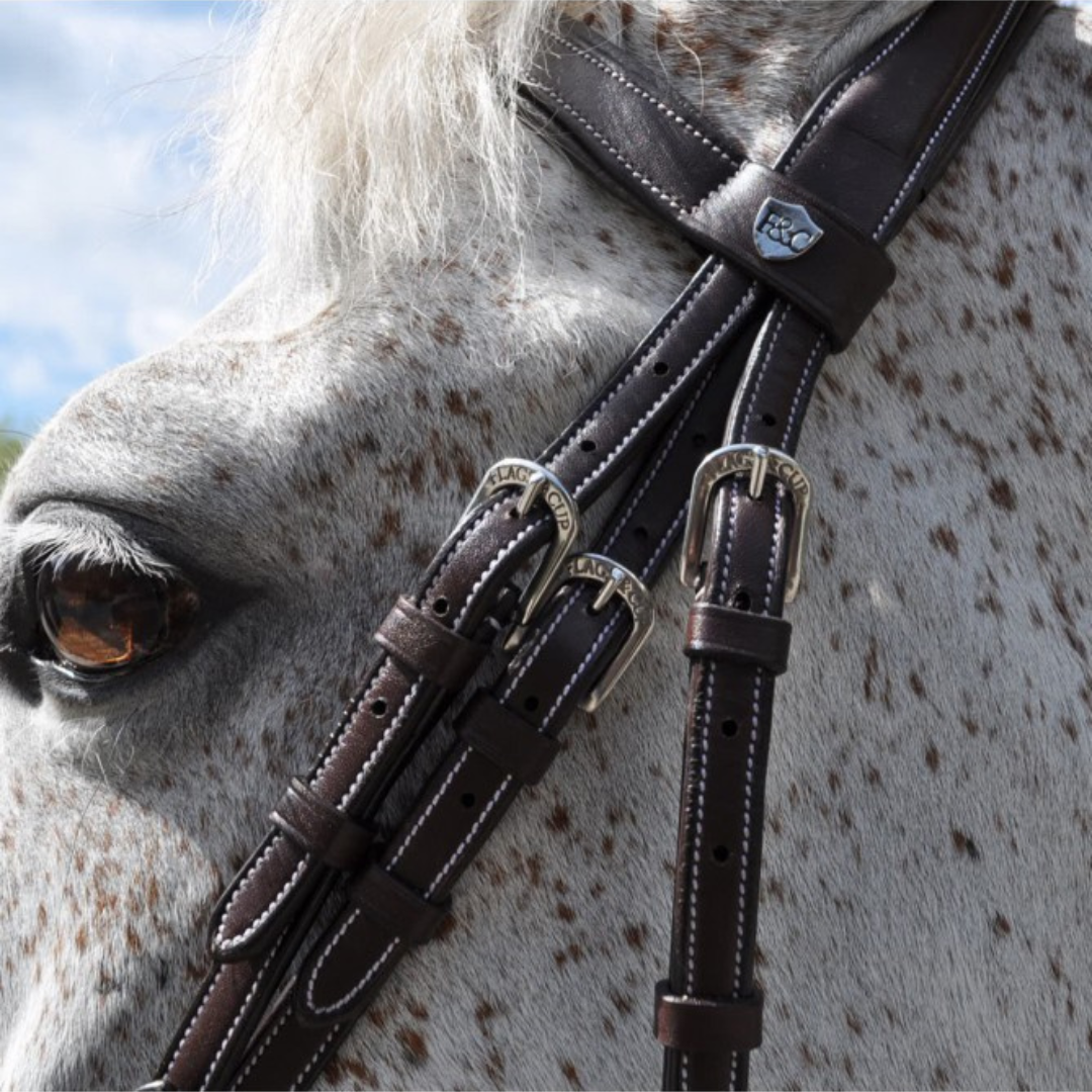 Bridon + rênes Goteborg Flags & Cup