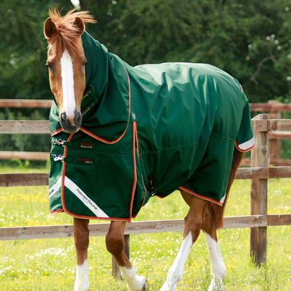 Couverture et couvre-cou classique Buster Premier Equine