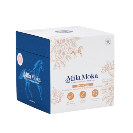 CMV Elevage Mila Moka