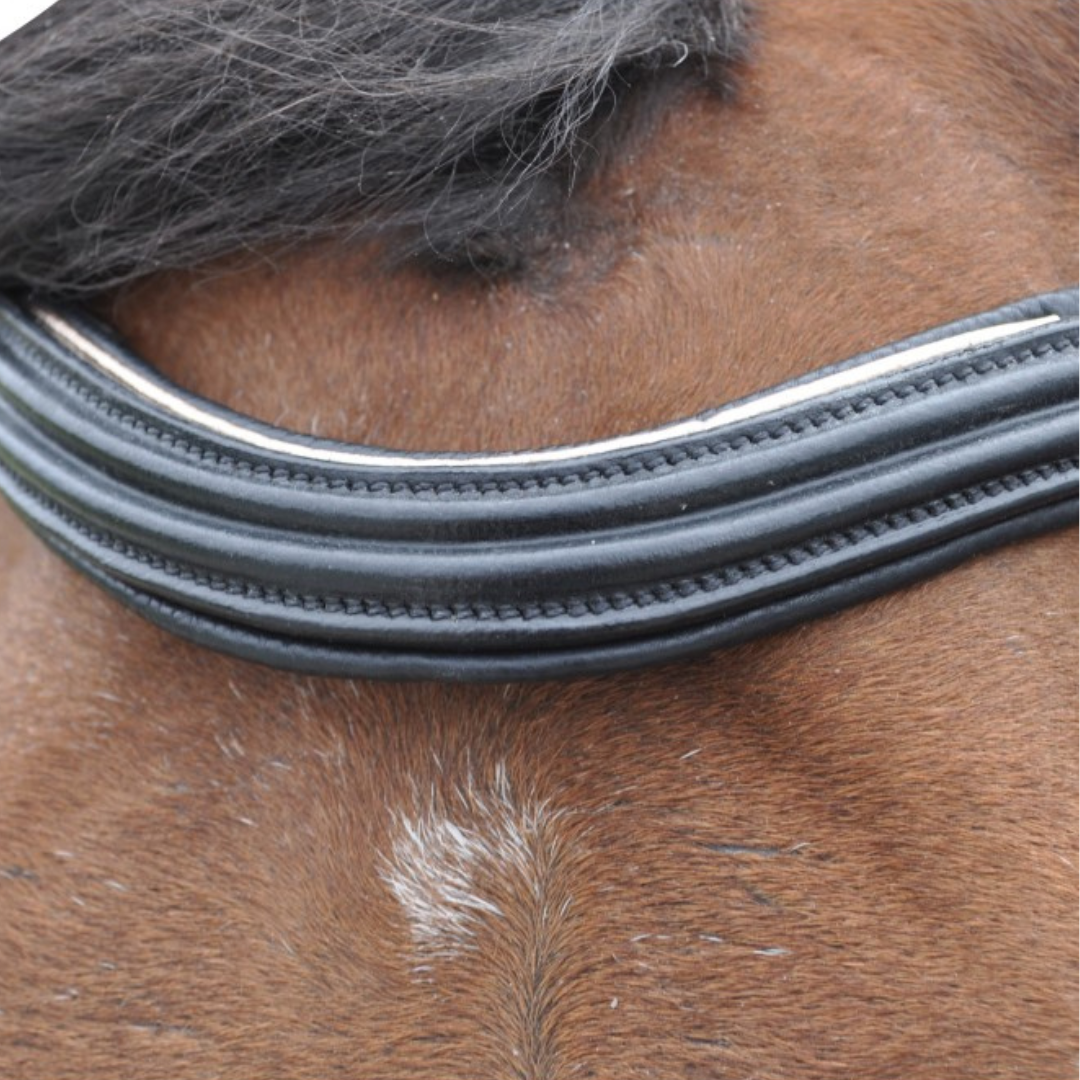 Bridon + rênes Rose gold Canter