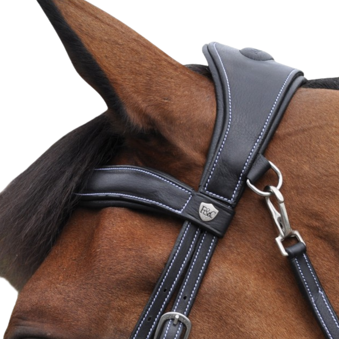 Bridon + rênes Comfort Flags & Cup