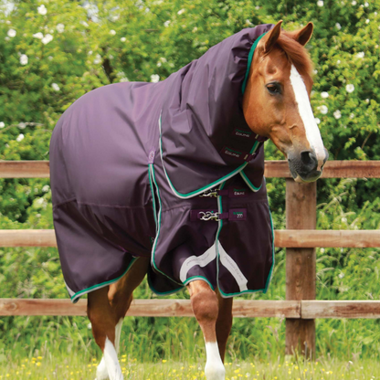 Couverture et couvre-cou élastique Buster Premier Equine