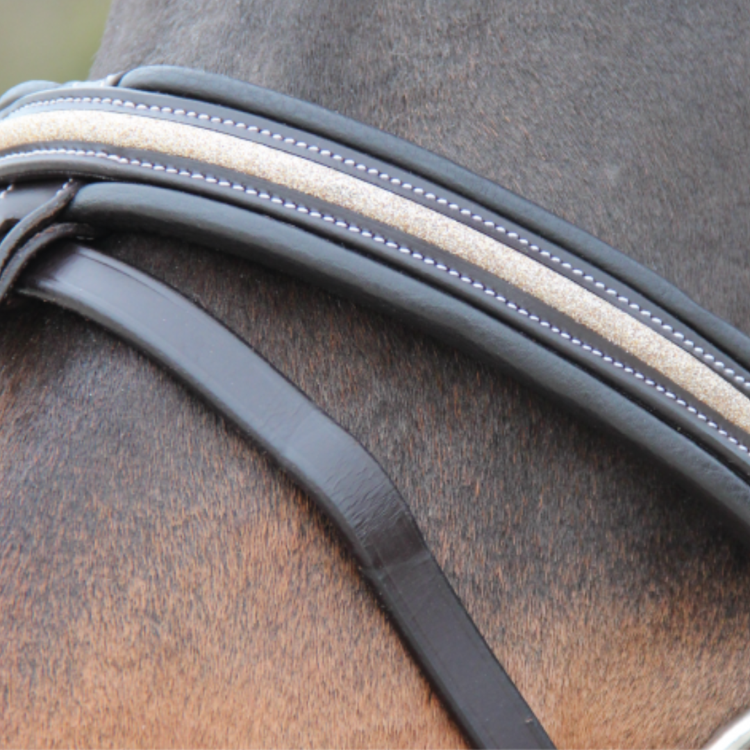Bridon + rênes Mylord Canter