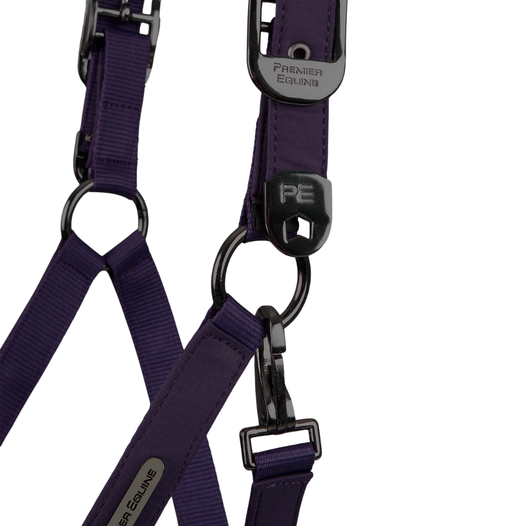 Licol + longe Duco Premier Equine
